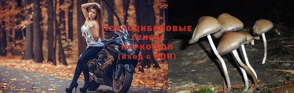 сатива Балабаново
