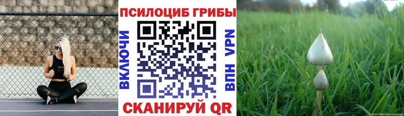Псилоцибиновые грибы мухоморы  Озёры 